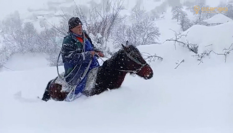 “Azərişıq” ASC cənub regionunda baş vermiş qəzaların aradan qaldırılması üçün fasiləsiz çalışır
