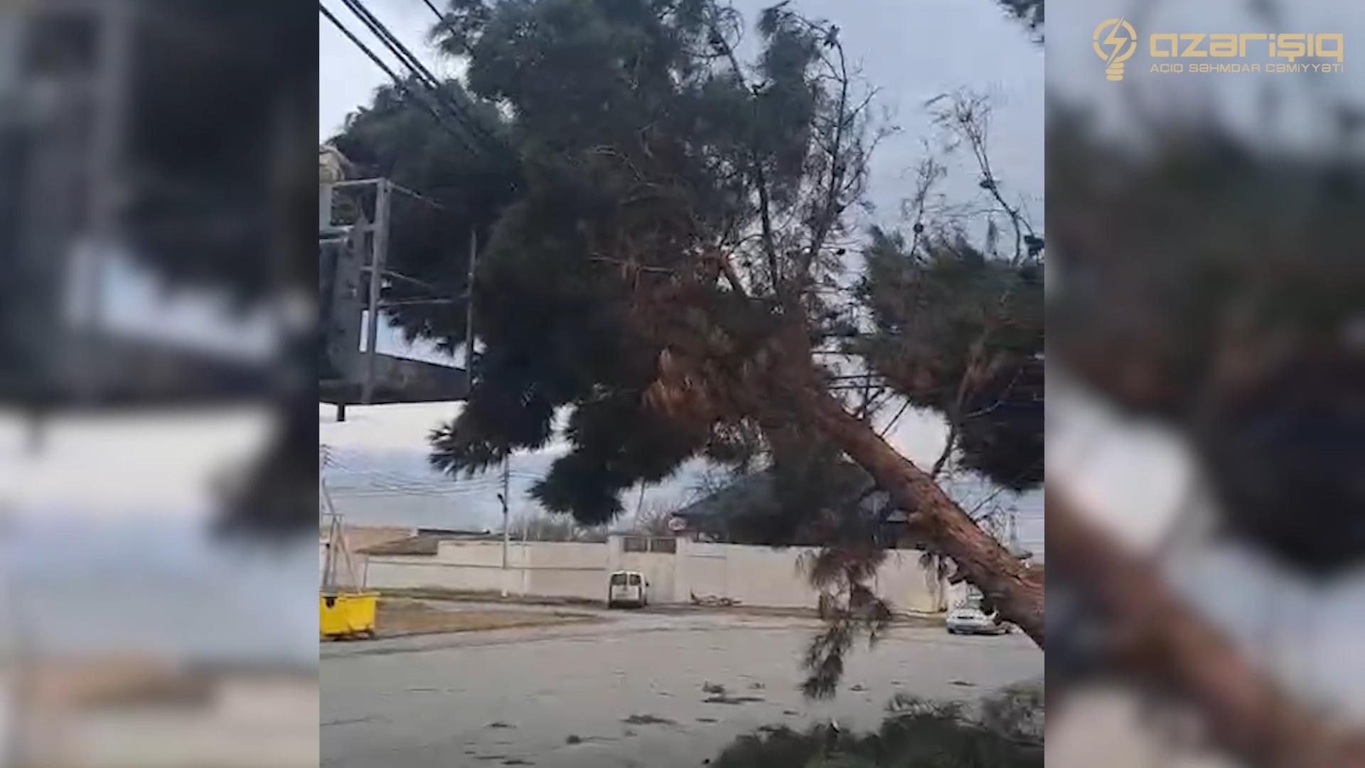 “Azərişıq” ASC güclü küləyin yaratdığı fəsadları aradan qaldırmaq üçün fasiləsiz çalışır